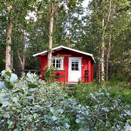 Bakkakot 3 Cozy Cabin In The Woods Акурейри Экстерьер фото