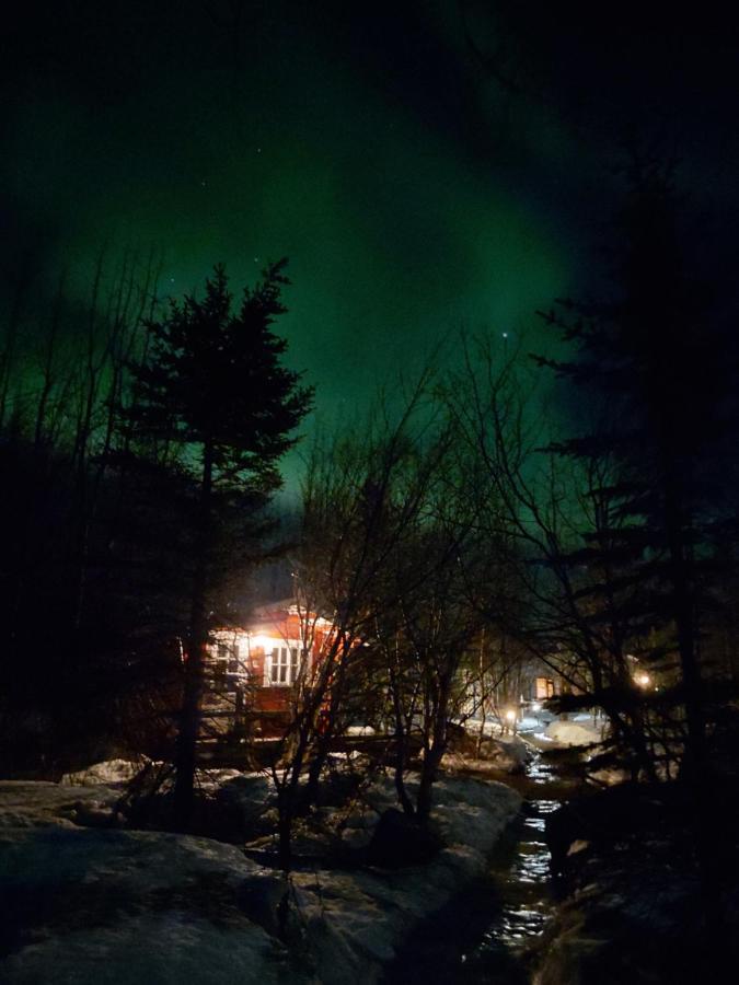 Bakkakot 3 Cozy Cabin In The Woods Акурейри Экстерьер фото
