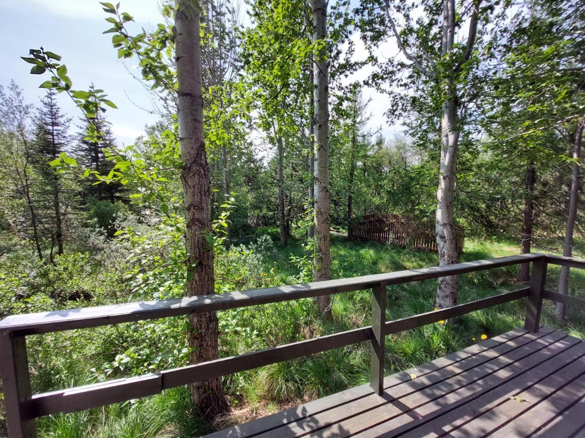 Bakkakot 3 Cozy Cabin In The Woods Акурейри Экстерьер фото